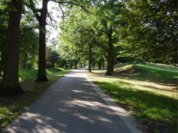 © Bewegung für alle Generationen – Mitreden beim Fitnessparcours auf dem Bullengraben